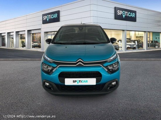 Citroën C3  BlueHDi 75KW (100CV) S&S Shine - 