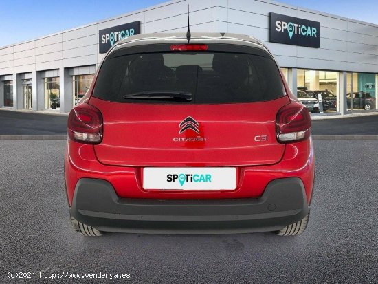 Citroën C3  BlueHDi 75KW (100CV) S&S Shine - 