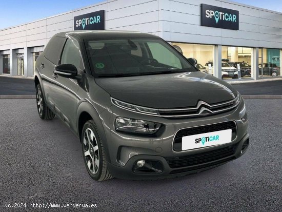 Citroën C4 Cactus  BlueHDi 73KW (100CV) Shine - 