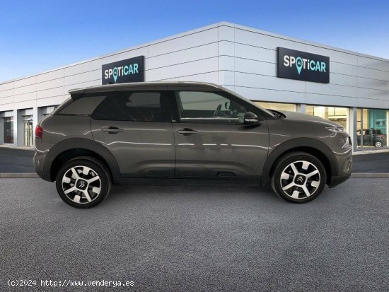 Citroën C4 Cactus  BlueHDi 73KW (100CV) Shine - 