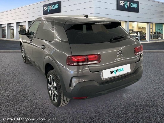 Citroën C4 Cactus  BlueHDi 73KW (100CV) Shine - 