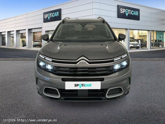 Citroën C5 Aircross  BlueHdi 96kW (130CV) S&S EAT8 Shine - 