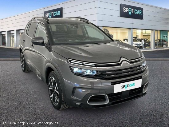 Citroën C5 Aircross  BlueHdi 96kW (130CV) S&S EAT8 Shine - 