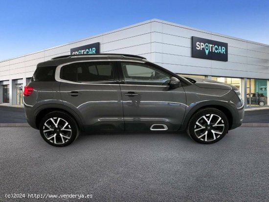 Citroën C5 Aircross  BlueHdi 96kW (130CV) S&S EAT8 Shine - 