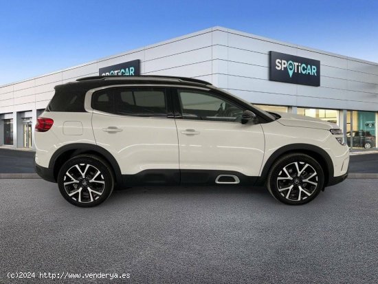 Citroën C5 Aircross  BlueHdi 96kW (130CV) S&S Shine - 