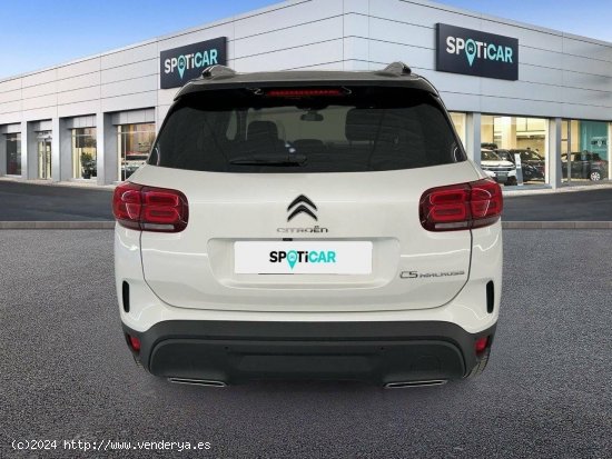 Citroën C5 Aircross  BlueHdi 96kW (130CV) S&S Shine - 