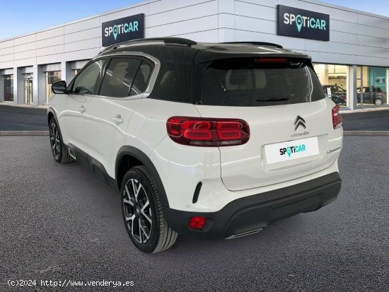 Citroën C5 Aircross  BlueHdi 96kW (130CV) S&S Shine - 