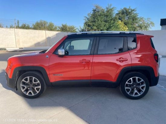 JEEP Renegade en venta en AlhendÃ­n (Granada) - AlhendÃ­n