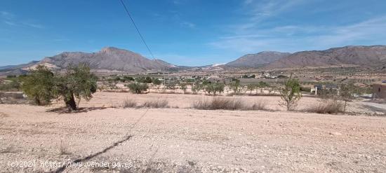  Casa cueva con terreno en Barbarroja - ALICANTE 