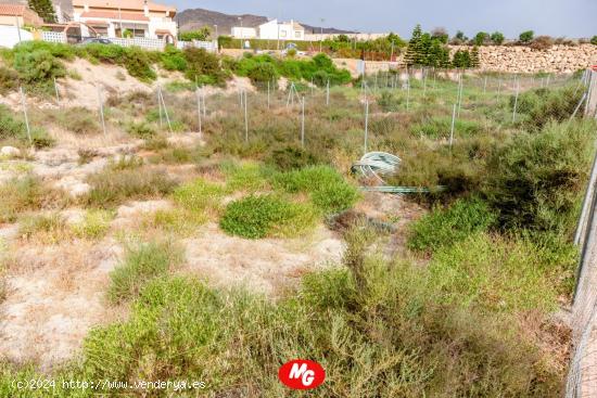 HUERCAL ALMERIA - PALOMAR: TERRENOS URBANOS DIRECTOS  - SECTOR EN CONSTRUCCION - ALMERIA