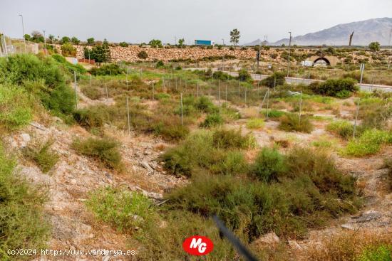 HUERCAL ALMERIA - PALOMAR: TERRENOS URBANOS DIRECTOS  - SECTOR EN CONSTRUCCION - ALMERIA