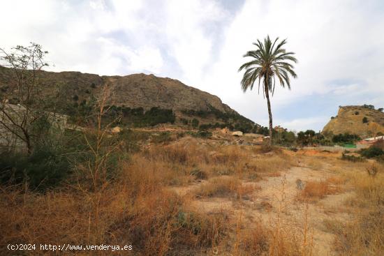 SOLAR URBANIZABLE CON PROYECTO EN ORIHUELA - ALICANTE