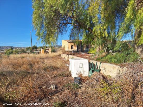 Casa de campo a 2 km de Novelda - ALICANTE