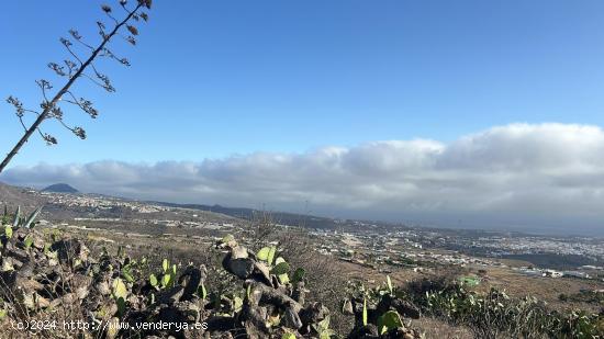 ¡Oportunidad Única! Terreno Rústico en Venta en Telde 🌿🏞️ - LAS PALMAS