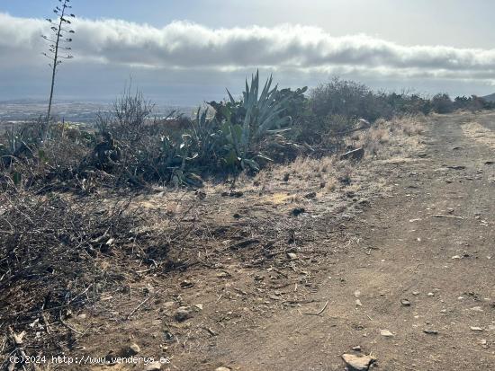 ¡Oportunidad Única! Terreno Rústico en Venta en Telde 🌿🏞️ - LAS PALMAS