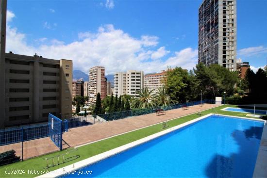  Acogedor apartamento en zona Rincon de Loix cerca de playa Levante. - ALICANTE 