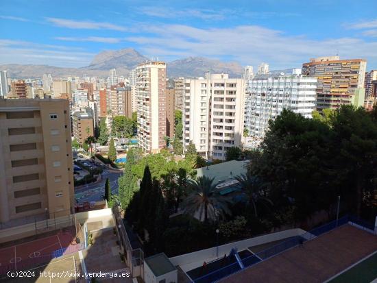 Acogedor apartamento en zona Rincon de Loix cerca de playa Levante. - ALICANTE