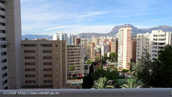 Acogedor apartamento en zona Rincon de Loix cerca de playa Levante. - ALICANTE