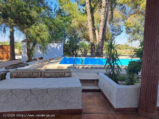 Villa exclusiva en Vereda Liorna, Orihuela (Alicante) - ALICANTE