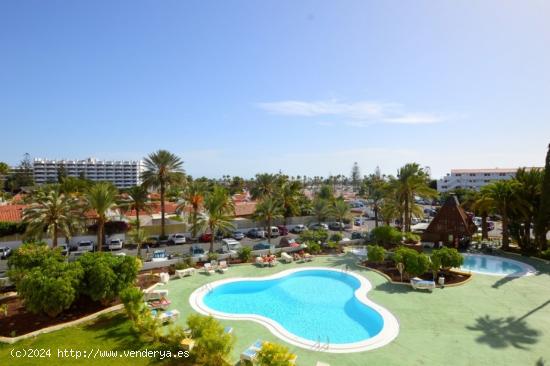 Amplio apartamento en Playa del Inglés - LAS PALMAS