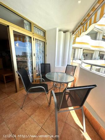 Amplio apartamento en Playa del Inglés - LAS PALMAS