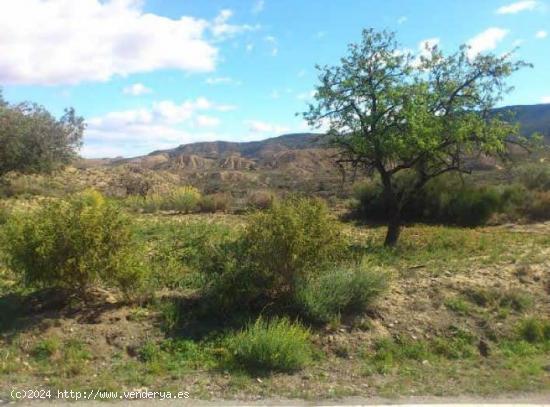 Terreno rustico en Murcia zona Cañadas de San Pedro - MURCIA