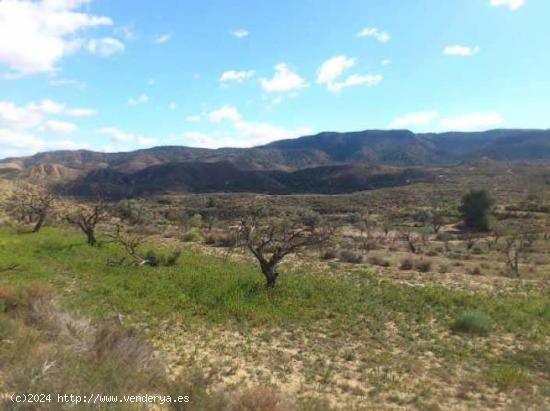 Terreno rustico en Murcia zona Cañadas de San Pedro - MURCIA