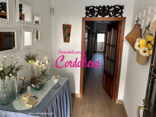 MAGNIFICA CASA CON TERRENO Y PISCINA EN ALCOLEA!!!! - CORDOBA