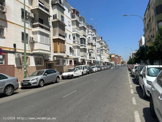  COQUETO PISO EN AVENIDA DE PINO MONTANO - SEVILLA 