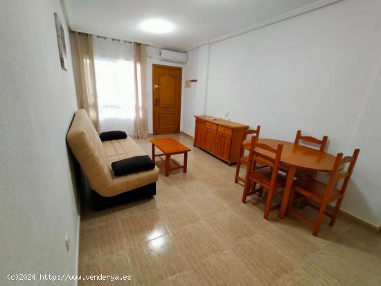  Ref. 7105 Apartamento de un dormitorio en Torrevieja para larga temporada - ALICANTE 