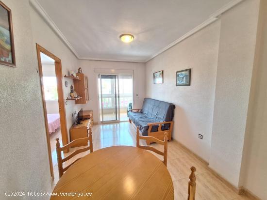 ALQ7359 Apartamento de 1 dormitorio en Torrevieja - ALICANTE