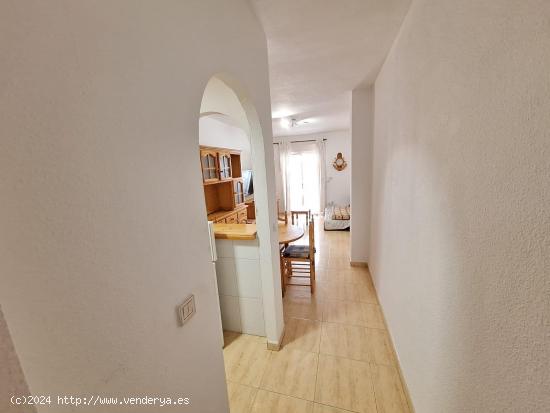 Ref.7404 Apartamento de 3 dormitorios en Torrevieja - ALICANTE