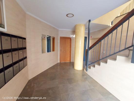 ALQUILER TEMPORAL, Apartamento en Pino Montano - SEVILLA