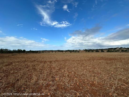 FINCA RÚSTICA EN CAN PICAFORT - BALEARES