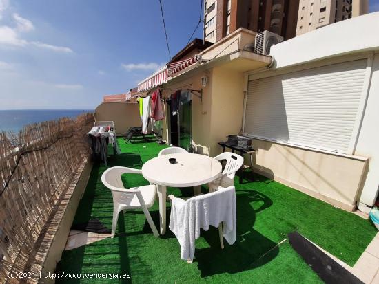  APARTAMENTO PRIMERA LINEA PLAYA LEVANTE BENIDORM GRAN INVERSION www.inmobiliarialesdunes.com - ALICA 