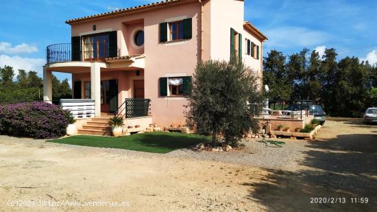  Finca rústica con cédula en Sa Pobla - BALEARES 