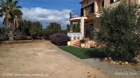 Finca rústica con cédula en Sa Pobla - BALEARES