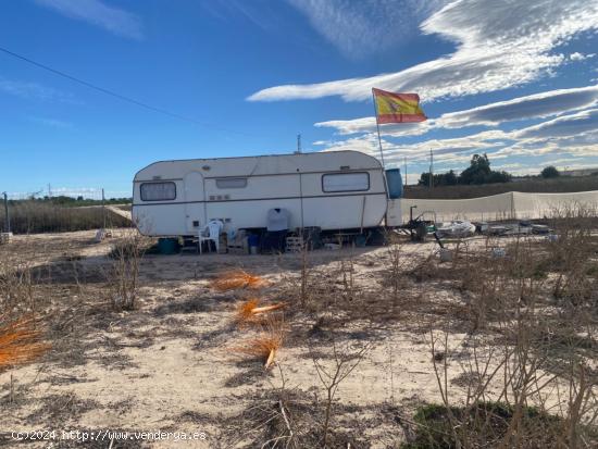 Terreno muy cerca del mar con caravana y varios árboles frutales - ALICANTE