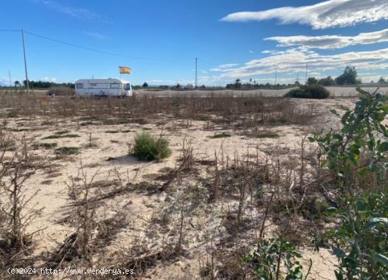 Terreno muy cerca del mar con caravana y varios árboles frutales - ALICANTE