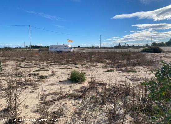 Terreno muy cerca del mar con caravana y varios árboles frutales - ALICANTE