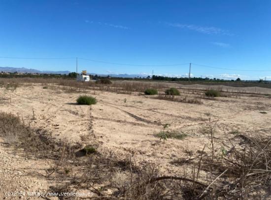 Terreno muy cerca del mar con caravana y varios árboles frutales - ALICANTE