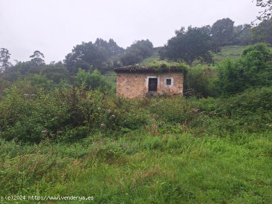 Terreno en venta con casa de piedra en Riaño, Solorzano - CANTABRIA