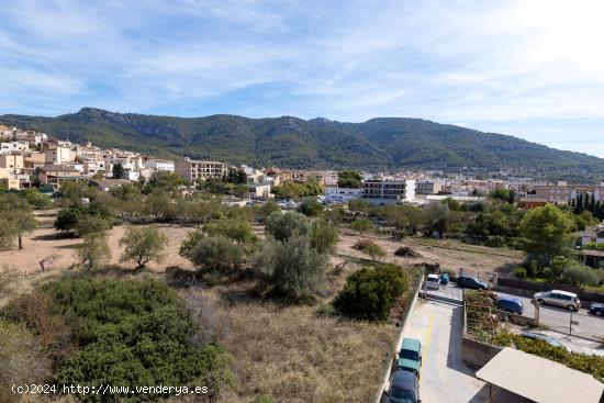 Piso en Andratx con vistas despejadas - BALEARES