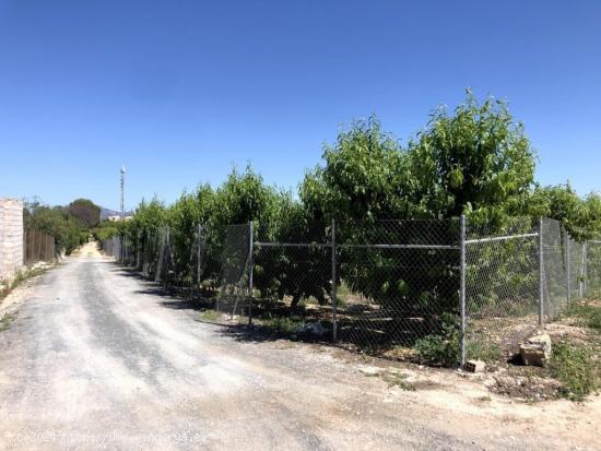 Venta Parcela Hoya Campo  3.800 metros con Agua Presion - MURCIA