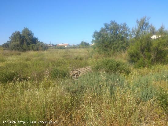 Parcela en Torrecilla, Lorca-Murcia - MURCIA