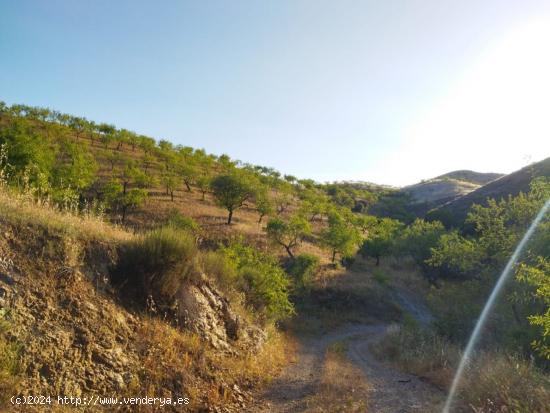 Casa con terreno en Cabezo de la Jara, Puerto Lumbreras-Murcia - MURCIA