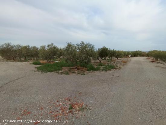 PARCELA CON LICENCIA Y PROYECTO JUNTO A LA ESTACION DE PUERTO LUMBRERAS - MURCIA