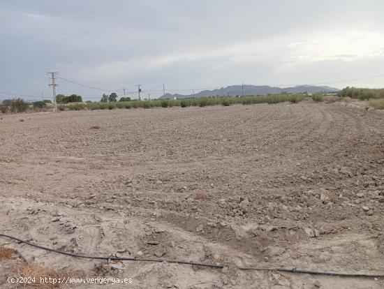 PARCELA CON FÁCIL ACCESO JUNTO A LA ESTACIÓN DE PUERTO LUMBRERAS - MURCIA