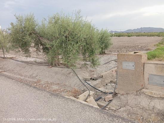 PARCELA CON FÁCIL ACCESO JUNTO A LA ESTACIÓN DE PUERTO LUMBRERAS - MURCIA