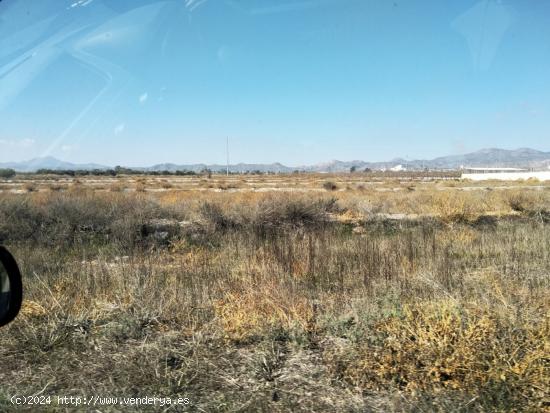 TERRENO DE MAS DE 15.000 M2 JUNTO A CAMINO VIEJO DE LORCA - MURCIA